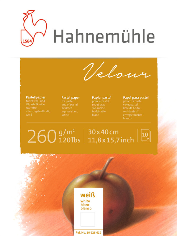 Image of Pastellblock Hahnemühle Velour Vita 260g 30x40cm 10ark 10628612 4011367286125