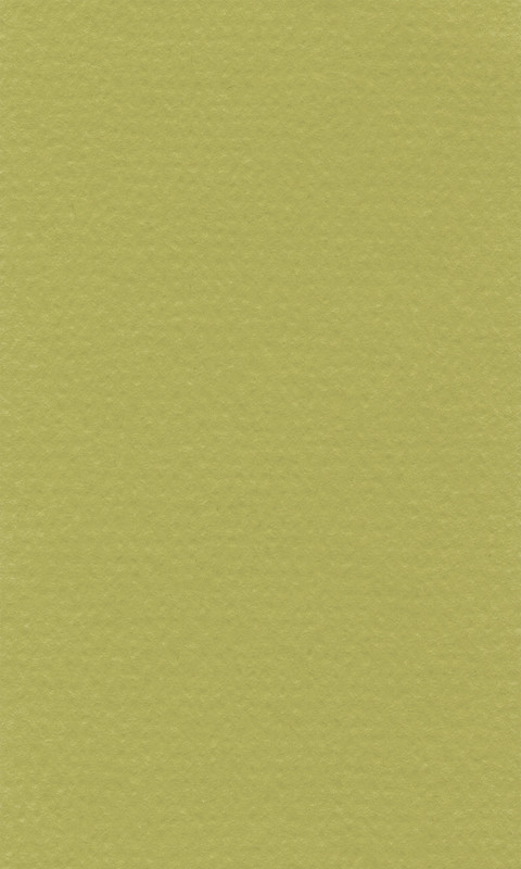 Image of Färgat papper Lanacolour 160g  500x650  (25F) Pistazie 15011456 4011367089078