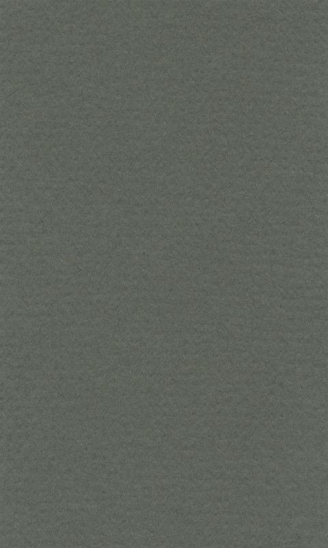 Image of Färgat papper Lanacolour 160g  500x650  (25F) ivy 15011471 4011367095307