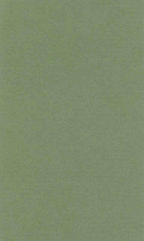 Image of Färgat papper Lanacolour 160g  500x650  (25F) sap green 15011481 4011367095185