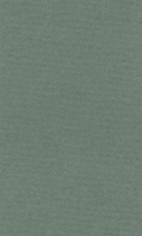 Image of Färgat papper Lanacolour 160g  500x650  (25F) sage 15011486 4011367095406