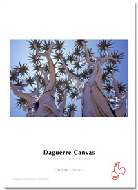 Image of Inkjet Hahnemühle Daguerre Canvas 400g 24"x12m rulle 10643488 4011367434885