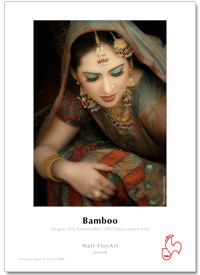 Image of Inkjet Hahnemühle Bamboo 290g A2  - 25 ark 10641608 4011367082314