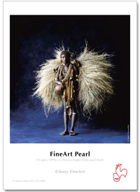 Image of Inkjet Hahnemühle FineArt Pearl 285g A2  - 25 ark 10641652 4011367082758