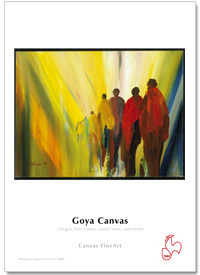 Image of Inkjet Hahnemühle Goya Canvas 340g 24"x12m rulle 10626367 4011367263676