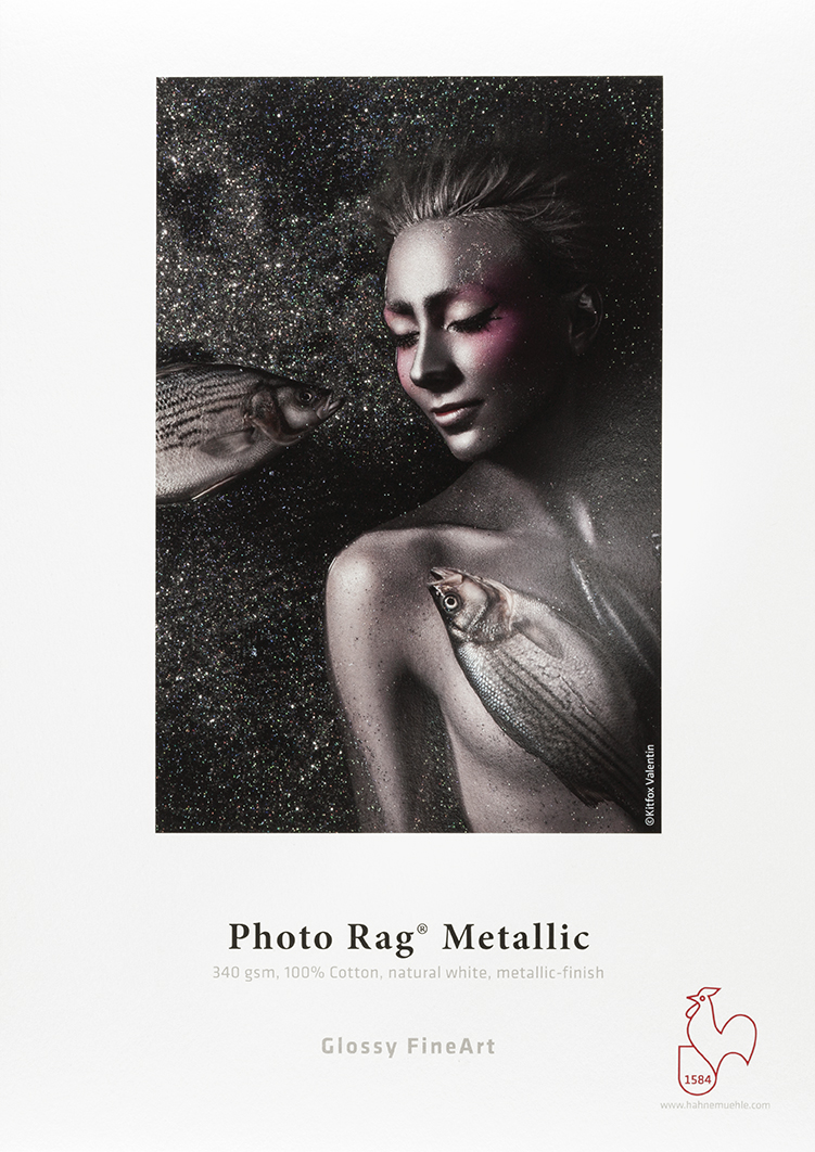 Image of Inkjet Hahnemühle GlossyFineArt Photo Rag Metallic 340g A2  - 25 ark 10641760 4011367107789