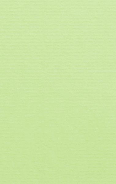 Image of Kort 1001 B7 220g 5-pack  Birchtree Green 305  Best. vara 10719614305 7612450246056