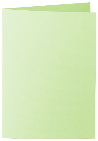 Image of Dubbelt Kort 1001 A6 Stå. 5-pack  Birchtree Green 305 10732226305 7612450247978