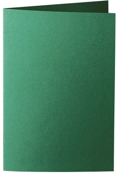 Image of Dubbelt Kort 1001 B6 5-pack  Racing Green 309  Best. vara 10736226309 7612450290608