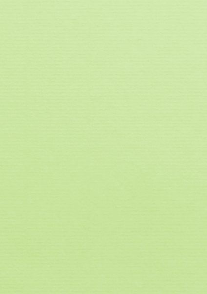 Image of Kort 1001 A4 220g 5-pack  Birchtree Green 305  Best. vara 10769614305 7612450251067