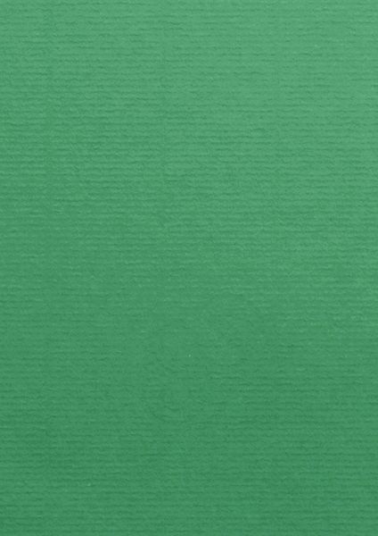 Image of Kort 1001 A4 220g 5-pack  Firtree Green 339  Best. vara 10769614339 7612450251104
