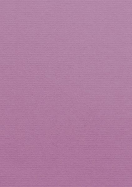 Image of Kort 1001 A4 220g 5-pack  Elder 455  Best. vara 10769614455 7612450982763