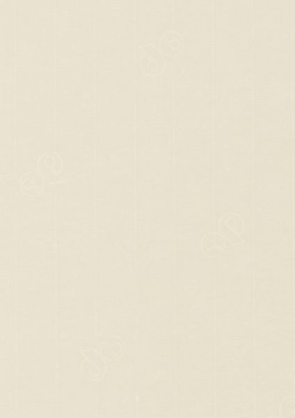Image of Papper 1001 A4 100g 50-pack  Cream 241 Best. vara 650796241 7612450207149