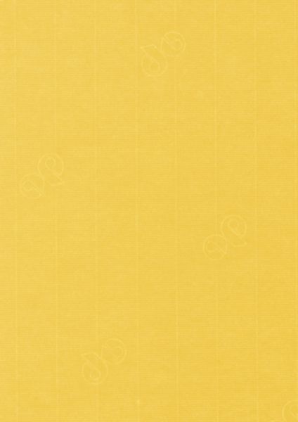 Image of Papper 1001 A4 100g 5-pack  Sun Yellow 247 10779614247 7612450251333