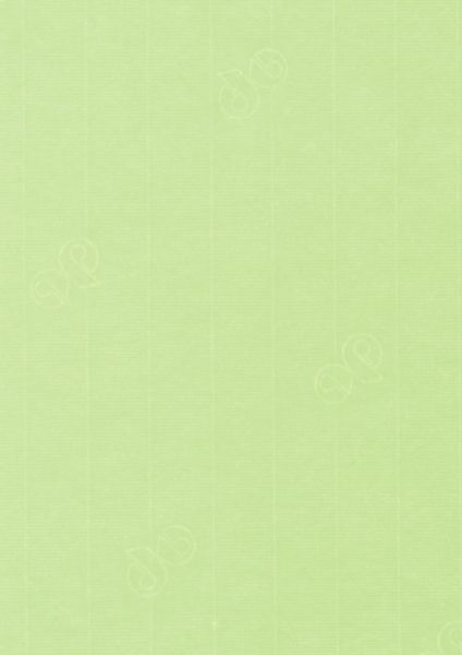Image of Papper 1001 A4 100g 5-pack  Birchtree Green 305 10779614305 7612450251357