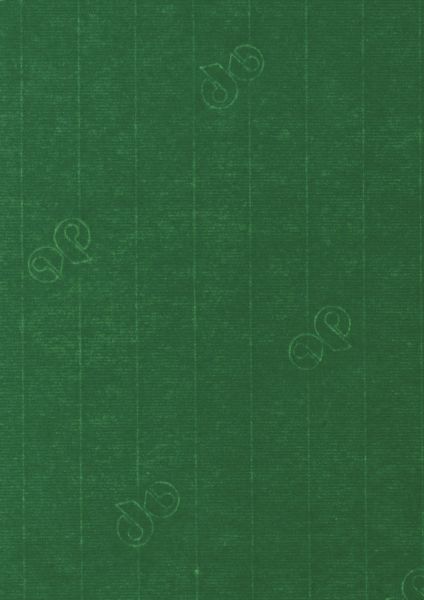 Image of Papper 1001 A4 100g 5-pack  Racing Green 309 10779614309 7612450291148