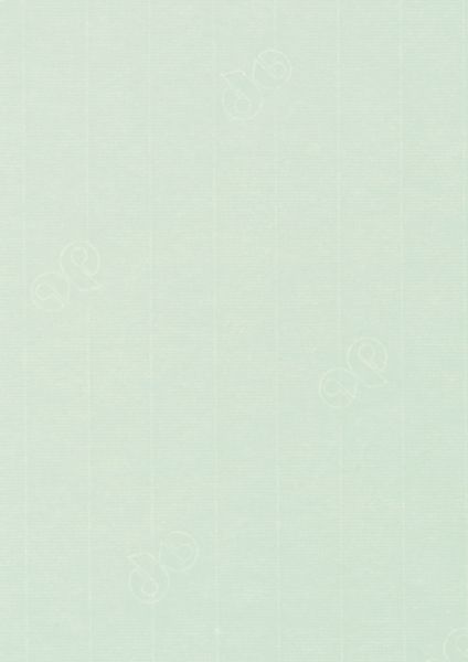 Image of Papper 1001 A4 100g 5-pack Mint 330 10779614330 7612996640462