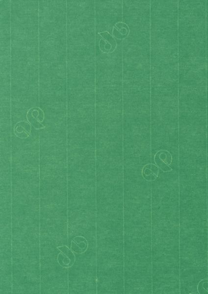 Image of Papper 1001 A4 100g 5-pack  Firtree Green 339  Best. vara 10779614339 7612450251395