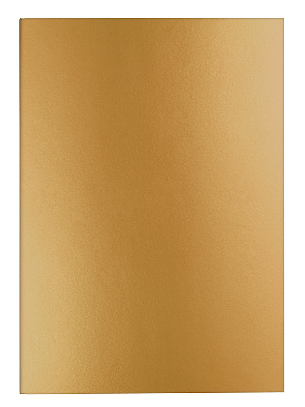Image of Skrivbok Caran d´Ache Notebook lined A5 - yellow 454413 7630002354080