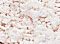 Image of Pigment Sennelier 1kg Meudon white -A  131 133002131 3046450281542
