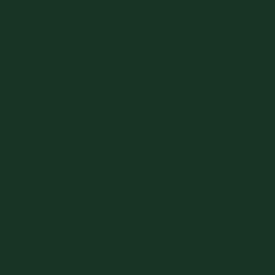 Image of Sprayfärg Ghiant Hobby Acryl 150 ml Brunswik Green  312 (6F) 615312 5412966153129