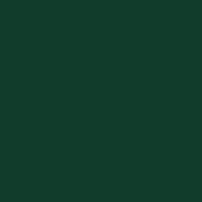 Image of Sprayfärg Ghiant H2O Textilspray 150ml Brunswik green 312 (6F) 634312 5412966343124