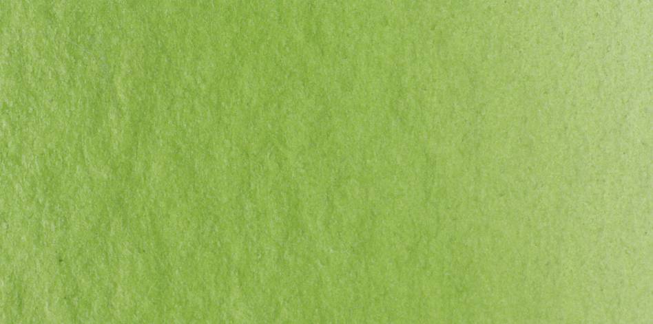Image of Akvarellfärg Lukas 1862 1/2-kopp Sap green 1165 (6F) PG2 11650012 4001128017181
