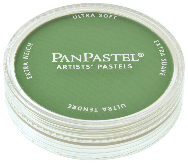 Image of PanPastel Chromium Oxide Green  660,5 (3F) 426605 879465001231