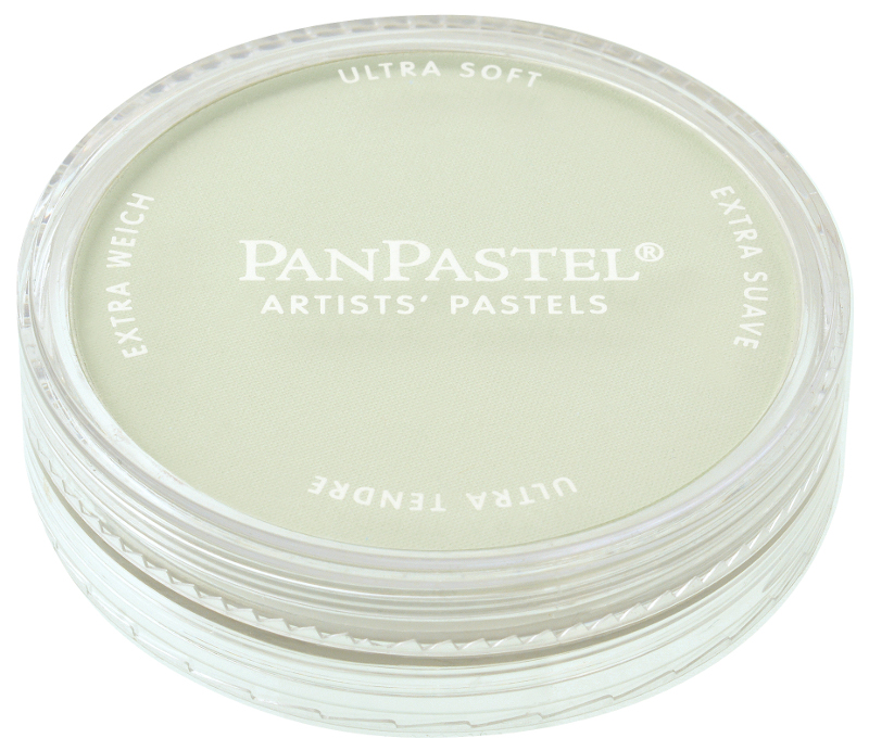 Image of PanPastel Chromium Oxide Green Tint 660,8 (3F) 426608 879465001293