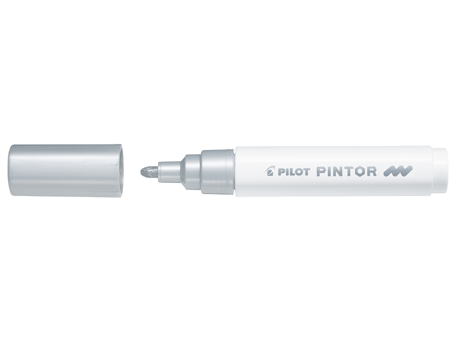Image of Fiberpenna Pilot Pintor - Medium - Silver  (6F) 542091 4902505542091