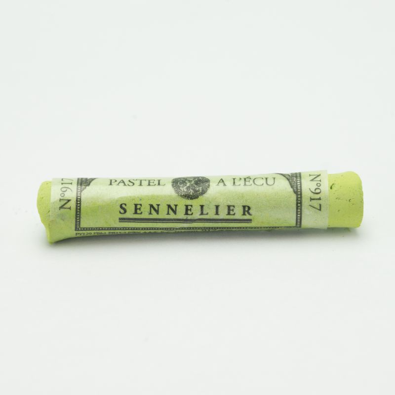 Image of Mjukpastell Sennelier Forest Green N°8 917 (3F) 132001917 3046450365860
