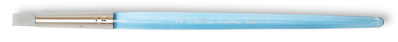Image of Syntetpensel Raphael  Symbiose Silikon Flat (6F) C 8090002 3046450731368