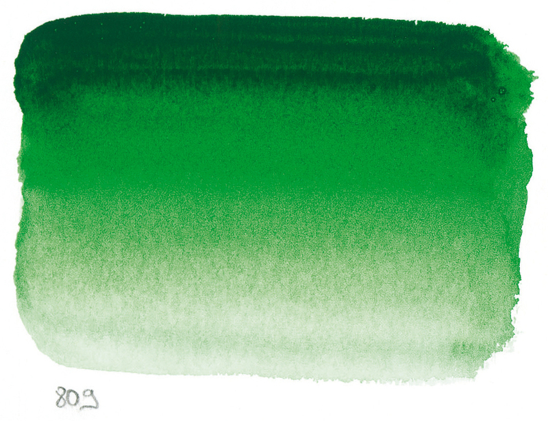 Image of Akvarellfärg Sennelier 10ml tub S1-Hooker's Green 809 (3F) 131501809 3046450116462