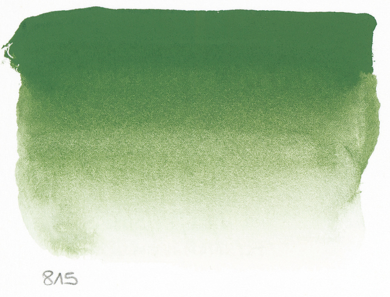 Image of Akvarellfärg Sennelier 10ml tub S3-Chromium Oxide Green 815 (3F) 131501815 3046450116509