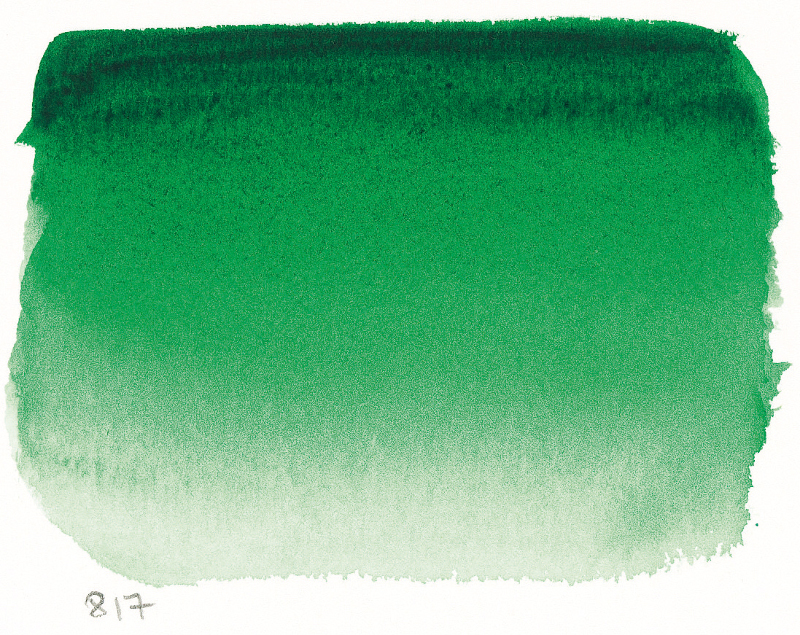 Image of Akvarellfärg Sennelier 10ml tub S1-Sennelier Green 817 (3F) 131501817 3046450115663