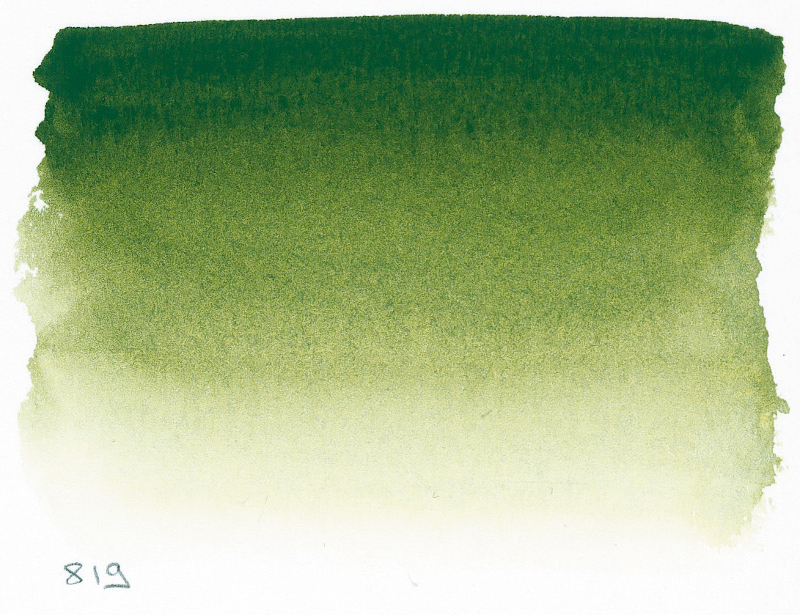 Image of Akvarellfärg Sennelier 10ml tub S1-Sap Green 819 (3F) 131501819 3046450116523
