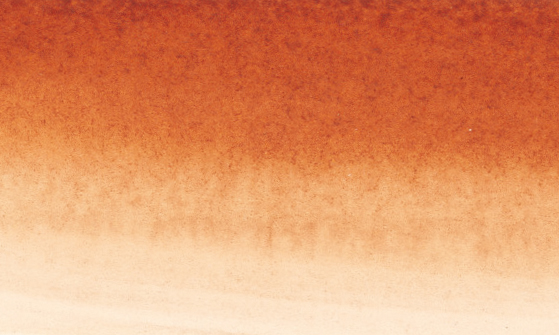 Image of Tusch Sennelier Ink 30ml Burnt Sienna (3F) 134010211 3046450223832