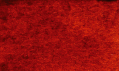 Image of Tusch Sennelier Ink 30ml Sanguine (3F) 134010270 3046450430230