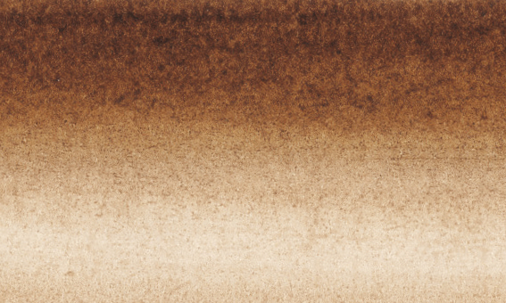 Image of Tusch Sennelier Ink 30ml Walnut Stain (3F) 134010453 3046450223795