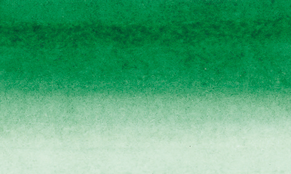 Image of Tusch Sennelier Ink 30ml Deep Green (3F) 134010803 3046450223856