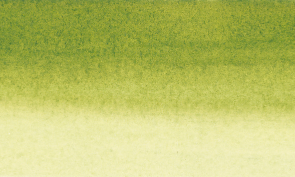 Image of Tusch Sennelier Ink 30ml Olive Green (3F) 134010813 3046450223870