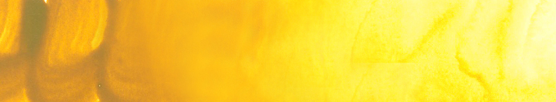 Image of Akvarellfärg ShinHan Premium PWC 15ml Aureolin C 559 (3F) 12141530559 8803332570584