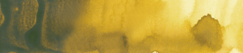 Image of Akvarellfärg ShinHan Premium PWC 15ml Greenish Yellow D 560 (3F) 12141540560 8803332570676