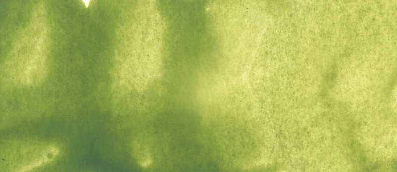 Image of Akvarellfärg ShinHan Premium PWC 15ml Terre verte (yellow shade) B 561 (3F) 12141520561 8803332570430