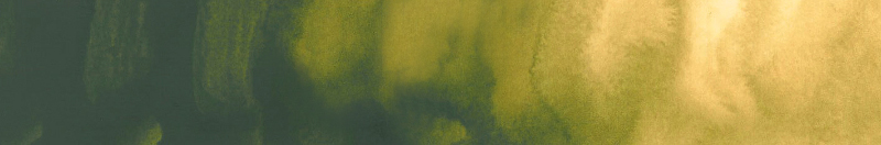 Image of Akvarellfärg ShinHan Premium PWC 15ml Olive Green B 562 (3F) 12141520562 8803332570348