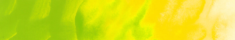 Image of Akvarellfärg ShinHan Premium PWC 15ml Leaf Green B 564 (3F) 12141520564 8803332570355