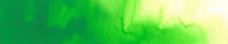 Image of Akvarellfärg ShinHan Premium PWC 15ml Perm.Green No.1 C 566 (3F) 12141530566 8803332570577