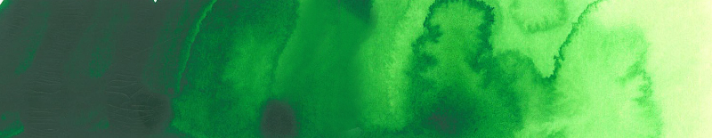Image of Akvarellfärg ShinHan Premium PWC 15ml Perm. Green No.2 B 567 (3F) 12141520567 8803332570331