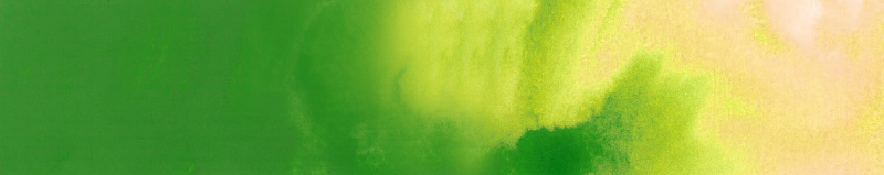 Image of Akvarellfärg ShinHan Premium PWC 15ml Cadmium green middle C 568 (3F) 12141530568 8803332570584