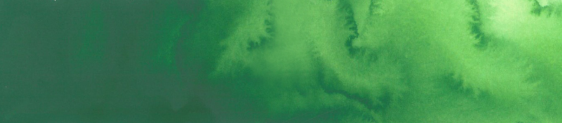 Image of Akvarellfärg ShinHan Premium PWC 15ml Cadmium green C 569 (3F) 12141530569 8803332570584